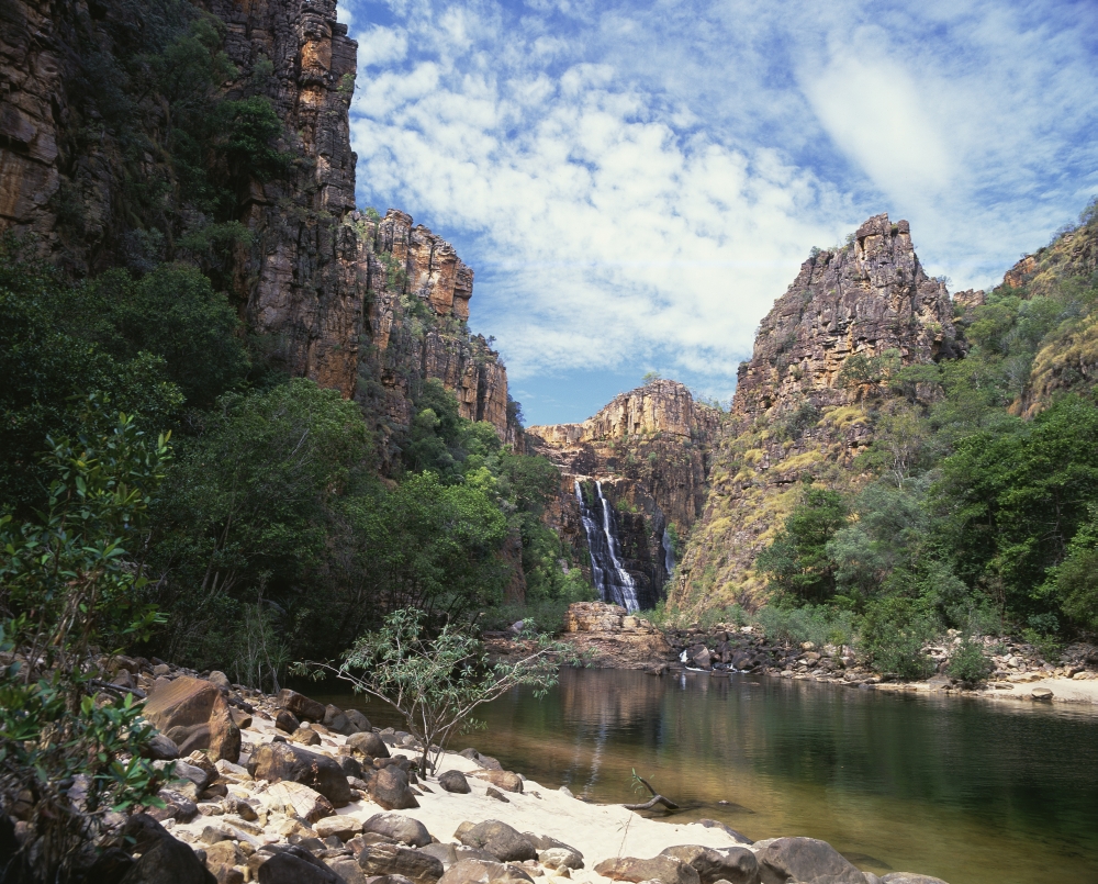 Kakadu designs coupon