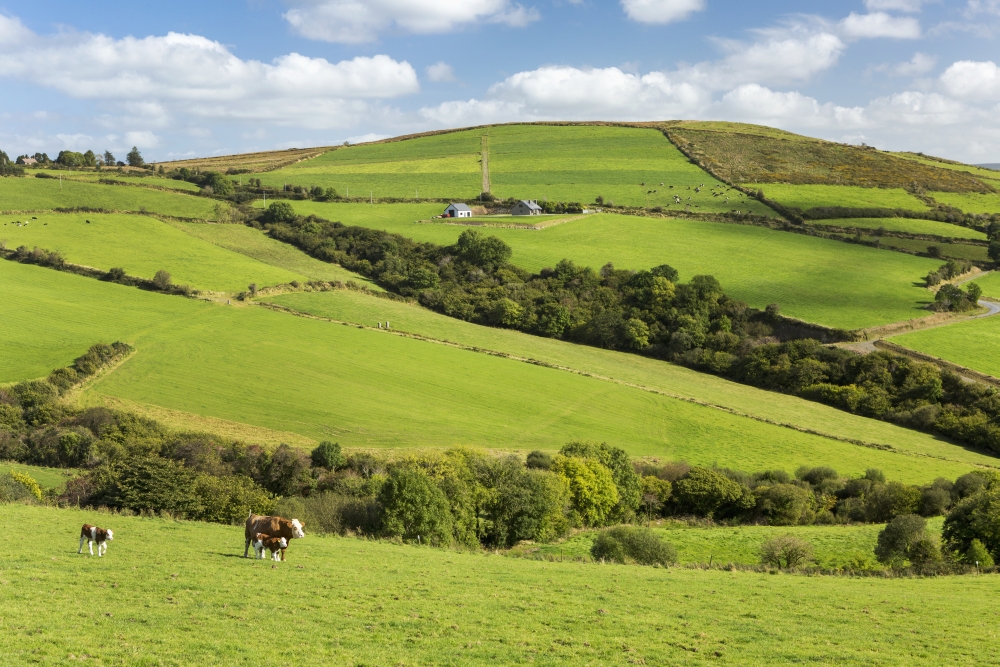 Green pastures coupon code