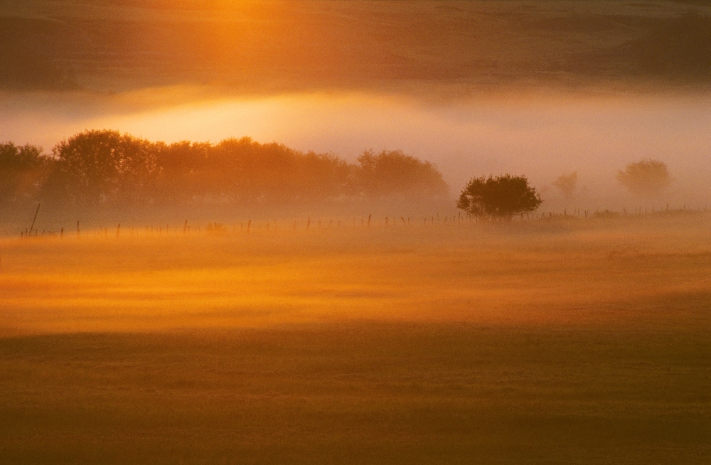 Foggy Sunset Poster - Tanga