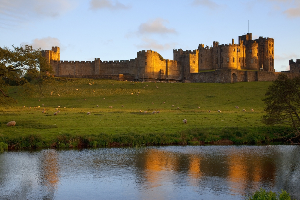Alnwick castle coupons