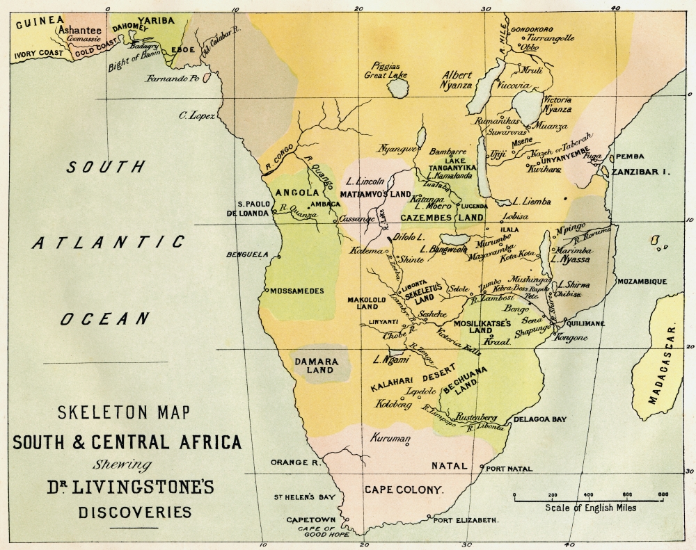 1860 Ligaments of the Head, Vertebral Column, Pelvis - Original Steel  Engraving From a Atlas of Human Anatomy - Hand-colored Original Plate! -  Etsy, image size:1000x791