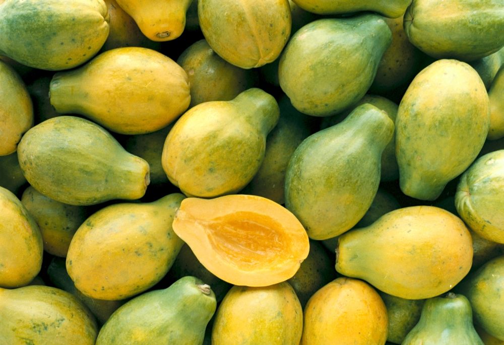 Papaya paper coupons