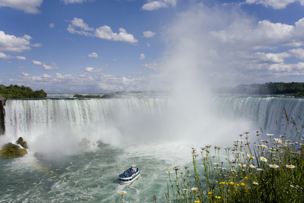Maid of the mist discount coupons