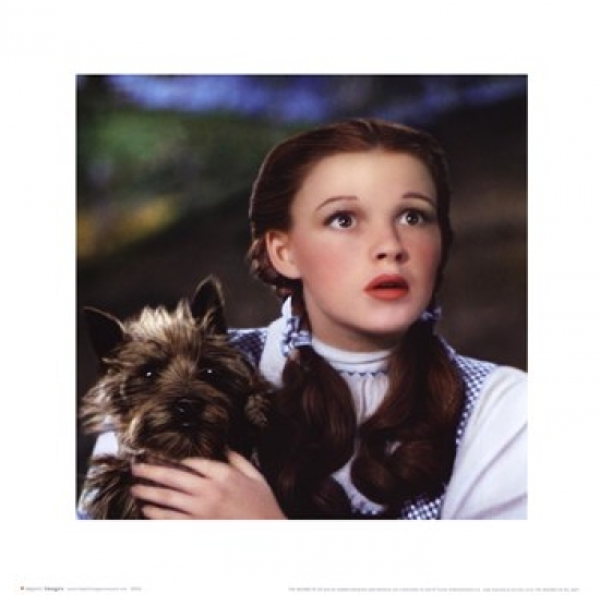 Advanced Graphics Dorothy Holding Toto 61 x 24 Wizard of Oz 75th Anniversary
