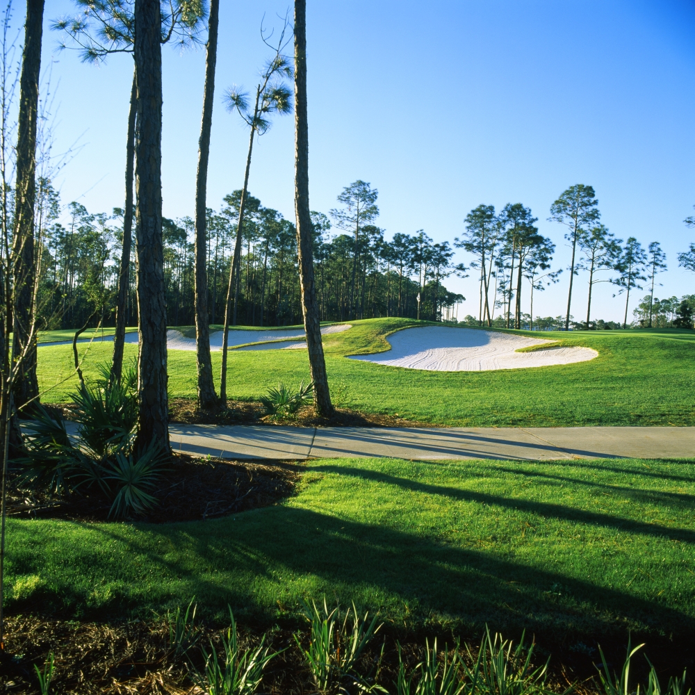 Sand trap in a golf course, Regatta Bay Golf Course and Country Club