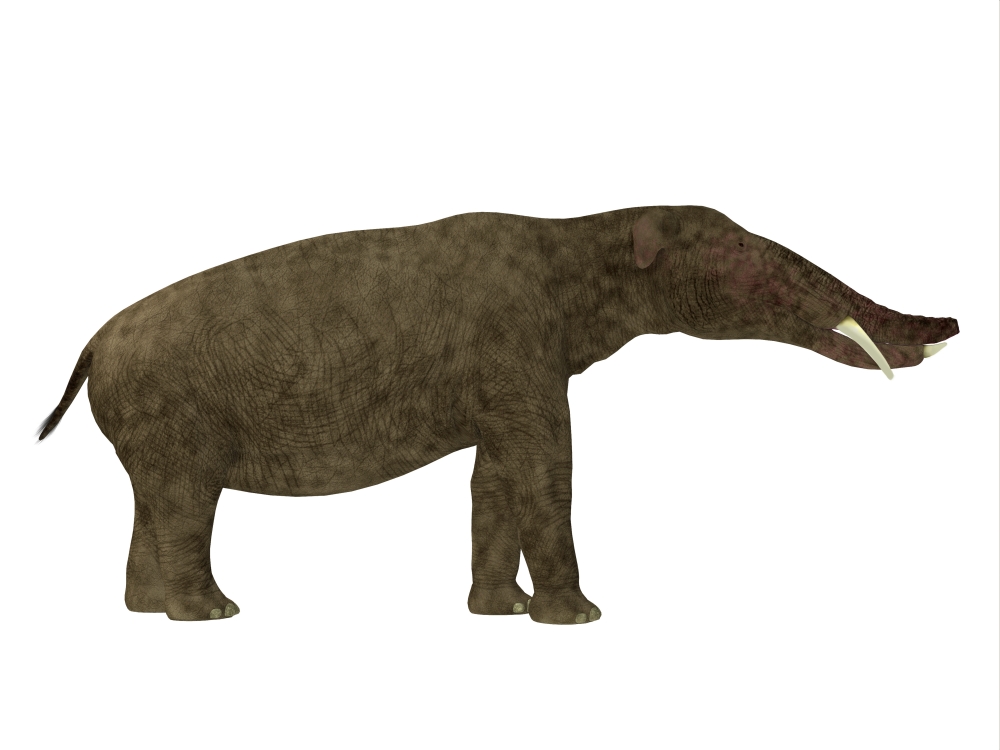 The Deinotherium was an extinct mammal that lived during the Miocene era  and is related to