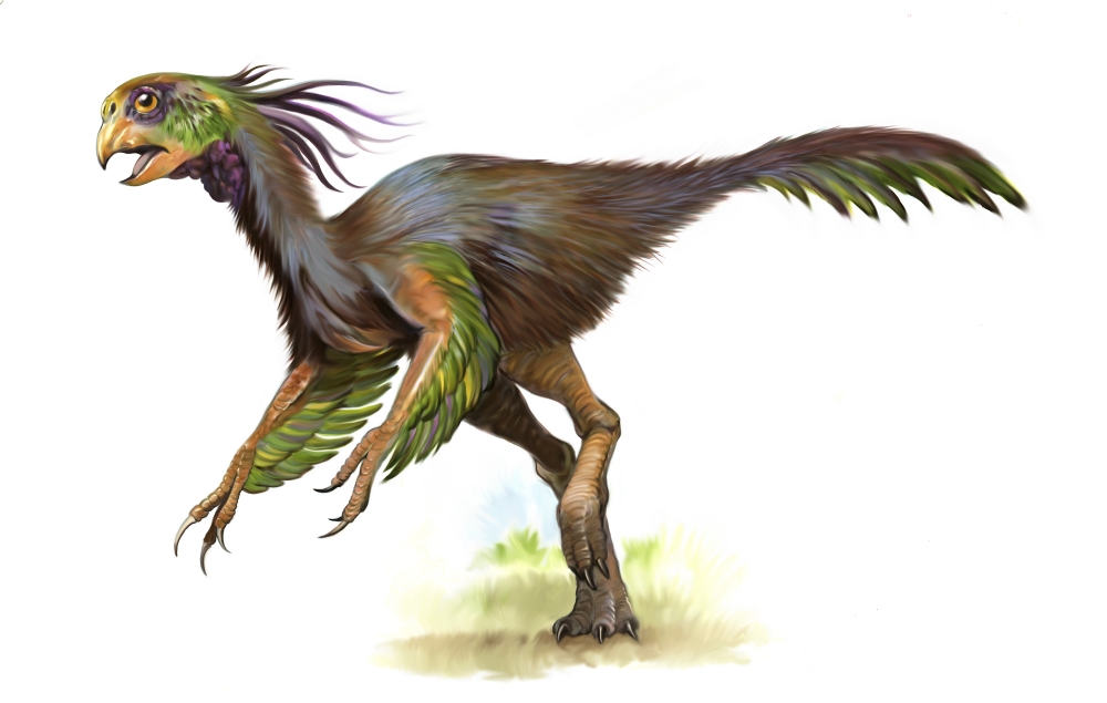 feathered oviraptor