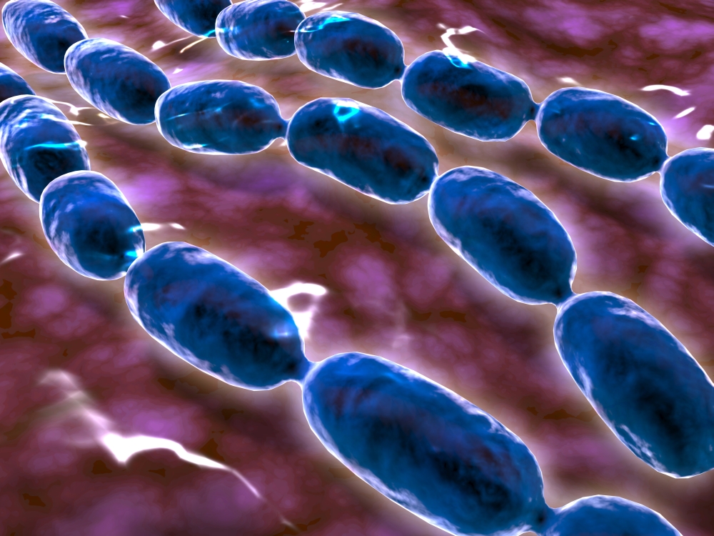 Microscopic View Of Bacterial Pneumonia Bacterial Pneumonia Is A Type Of Pneumonia Caused By