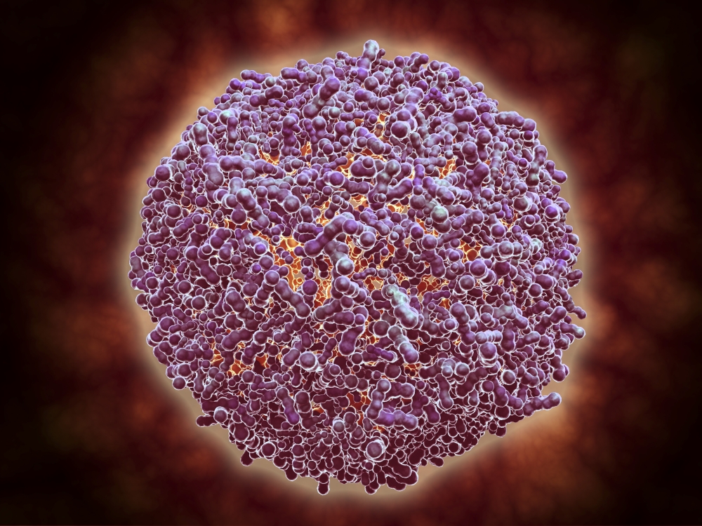 Recently viewed deals virus