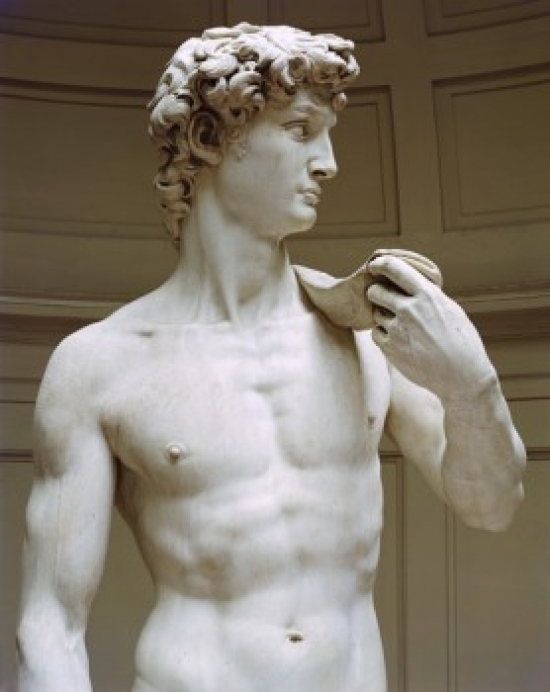 David Ca Michelangelo Buonarroti Marble Galleria Dell Accademia Florence Poster Print